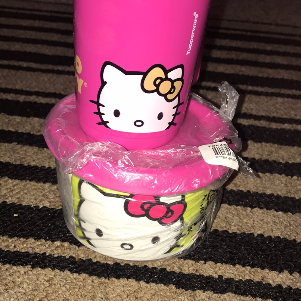 Hello kitty Tupperware 💗